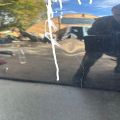 80100-4BA0A | Дверь передн. прав. NISSAN X-TRAIL/ROGUE T32 13-20 - Превью 6