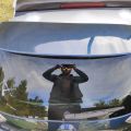 9001A-4BN0B | Кришка багажника NISSAN X-TRAIL/ROGUE T32 13-20 - Прев'ю 2