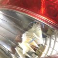 26550-3KA0A | Фонарь наружный прав. NISSAN PATHFINDER R52 12-21 - Превью 8