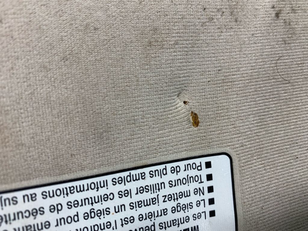 74310AC293A1 | Козырек солнцезащитный прав. TOYOTA AVALON 05-12 - Фото 4