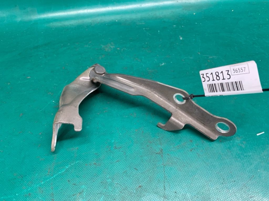 53420AC040 | Петля капота лев. TOYOTA AVALON 05-12 - Фото 3