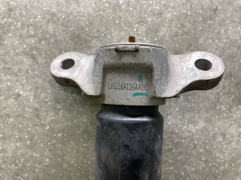 LX6Z-18125-E | Амортизатор задн. FORD ESCAPE 19 - - Фото 3