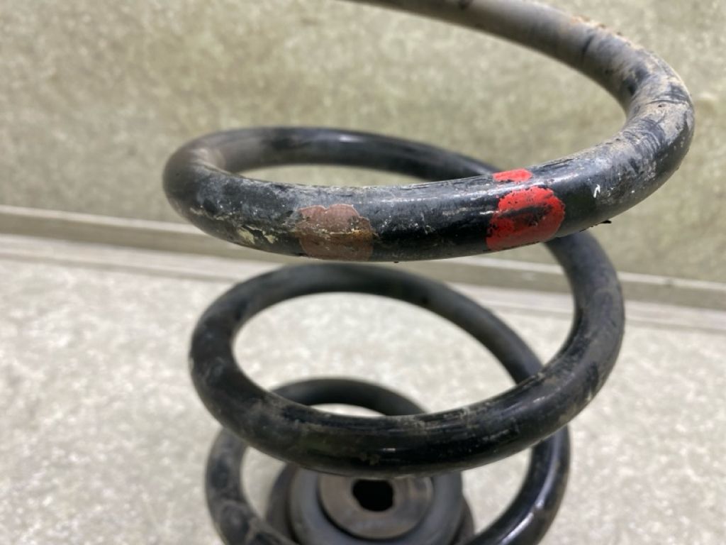 55020-1KD0A | Пружина задньої підвіски NISSAN JUKE 10-19 - Фото 3