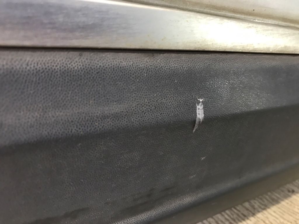 5N0 831 056 B | Двері передн. прав. VOLKSWAGEN TIGUAN 08-17 - Фото 7