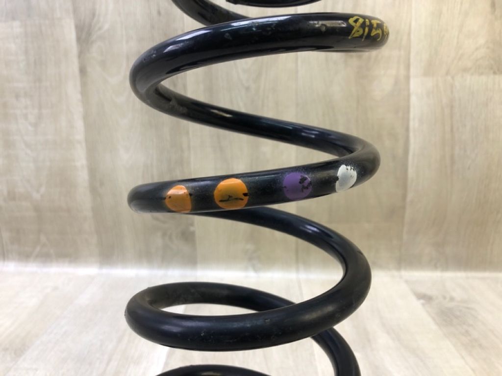 3C0511115AG | Пружина задньої підвіски VOLKSWAGEN TIGUAN 08-17 - Фото 3