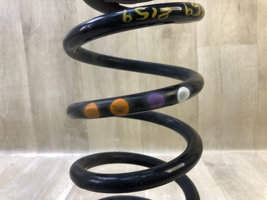 3C0511115AG | Пружина задньої підвіски VOLKSWAGEN TIGUAN 08-17 - Фото 3