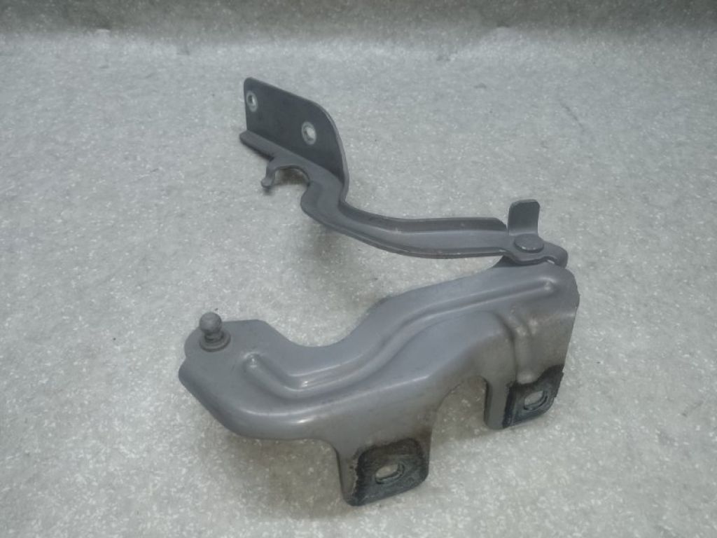 65400-1AA9A | Петля капоту прав. NISSAN MURANO Z51 07-14 - Фото 3