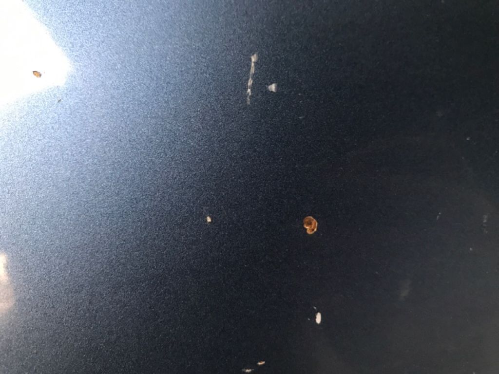 67003-33130 | Двері задн. прав. TOYOTA CAMRY 30 02-06 - Фото 8