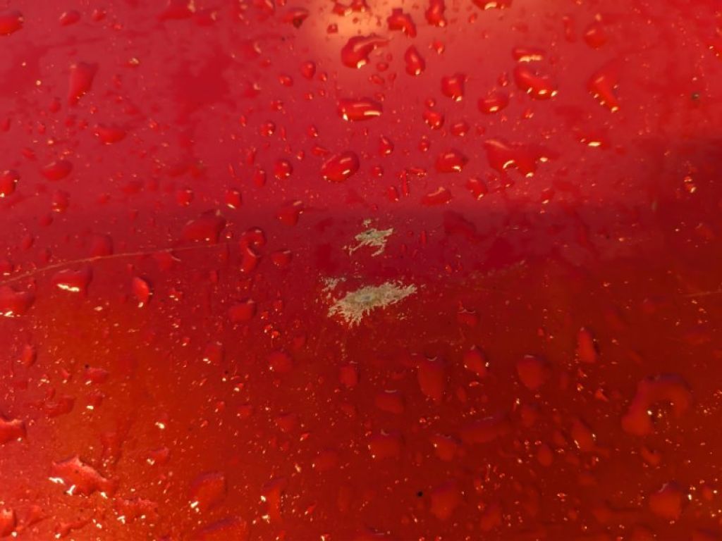 68141696AB | Кришка багажника DODGE DART 12-16 - Фото 7