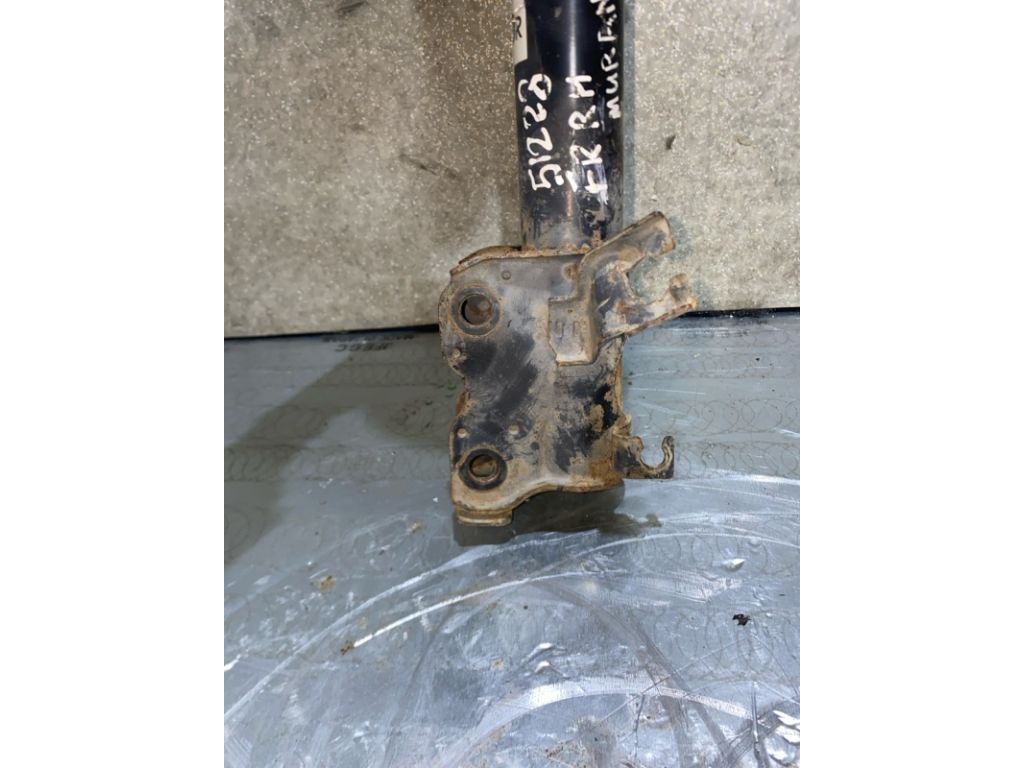 E4302-CB10A | Амортизатор передн. прав. NISSAN MURANO Z50 02-07 - Фото 3