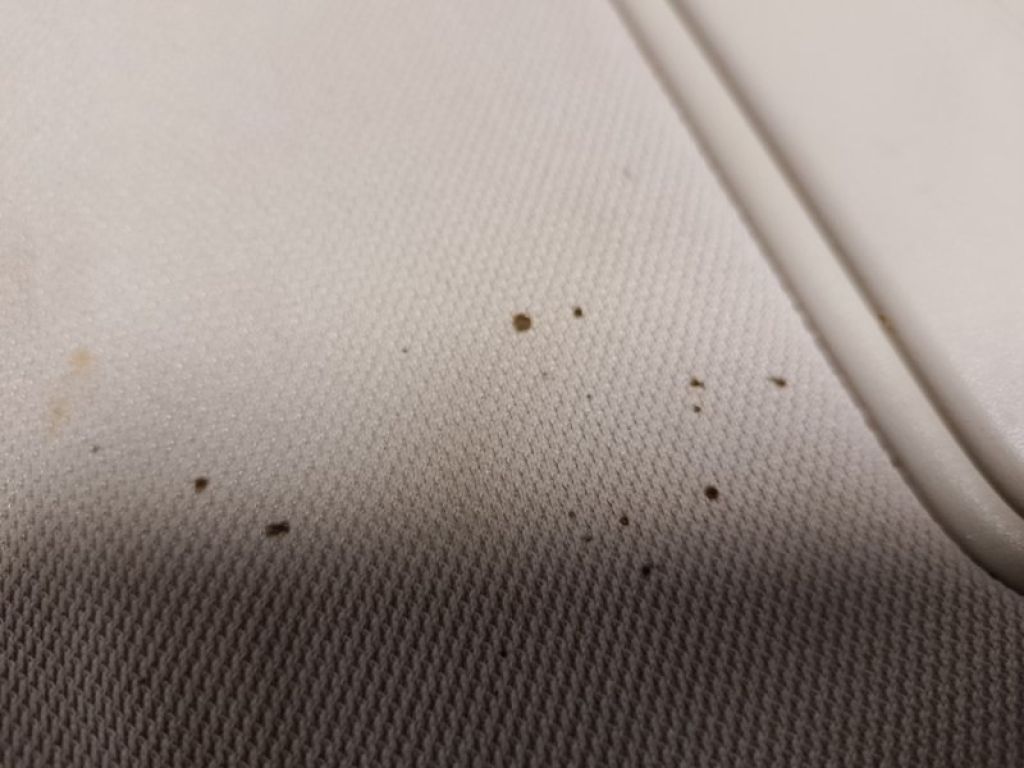 96401-CL70B | Козирок сонцезахисний INFINITI FX S50 03-08 - Фото 7