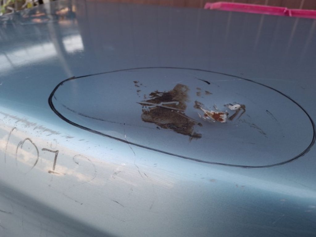 64401-AC050 | Крышка багажника TOYOTA AVALON 05-12 - Фото 7