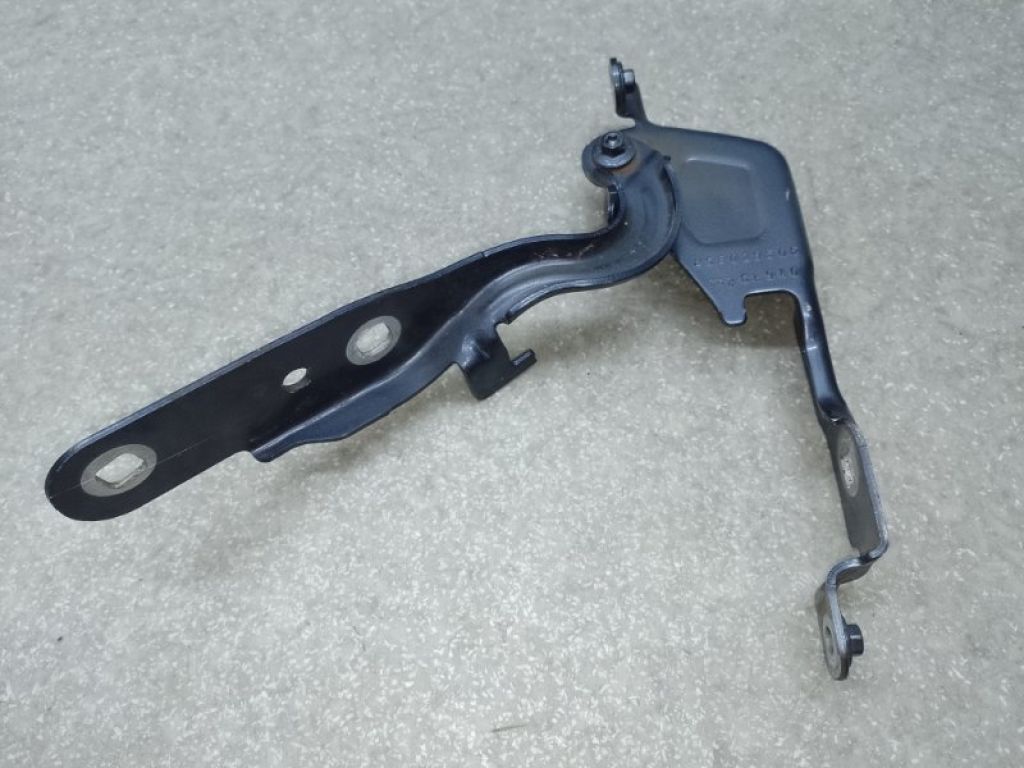 25798896 | Петля капоту прав. CHEVROLET EQUINOX 09-17 - Фото 4