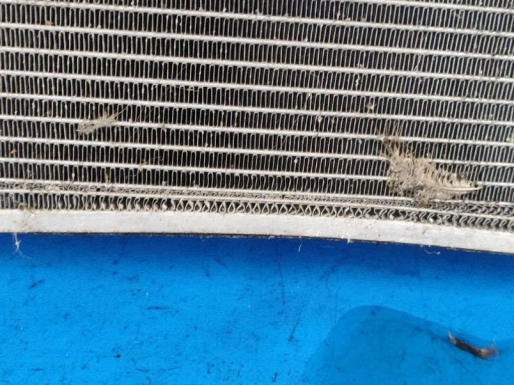 214606RA5A | Радіатор основний NISSAN X-TRAIL/ROGUE T33 20- - Фото 7