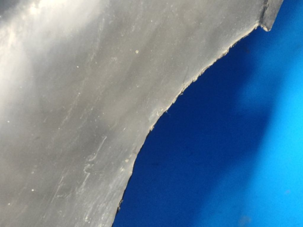 31353516 | Підкрилок передн. лів. VOLVO XC70 07-16 - Фото 6