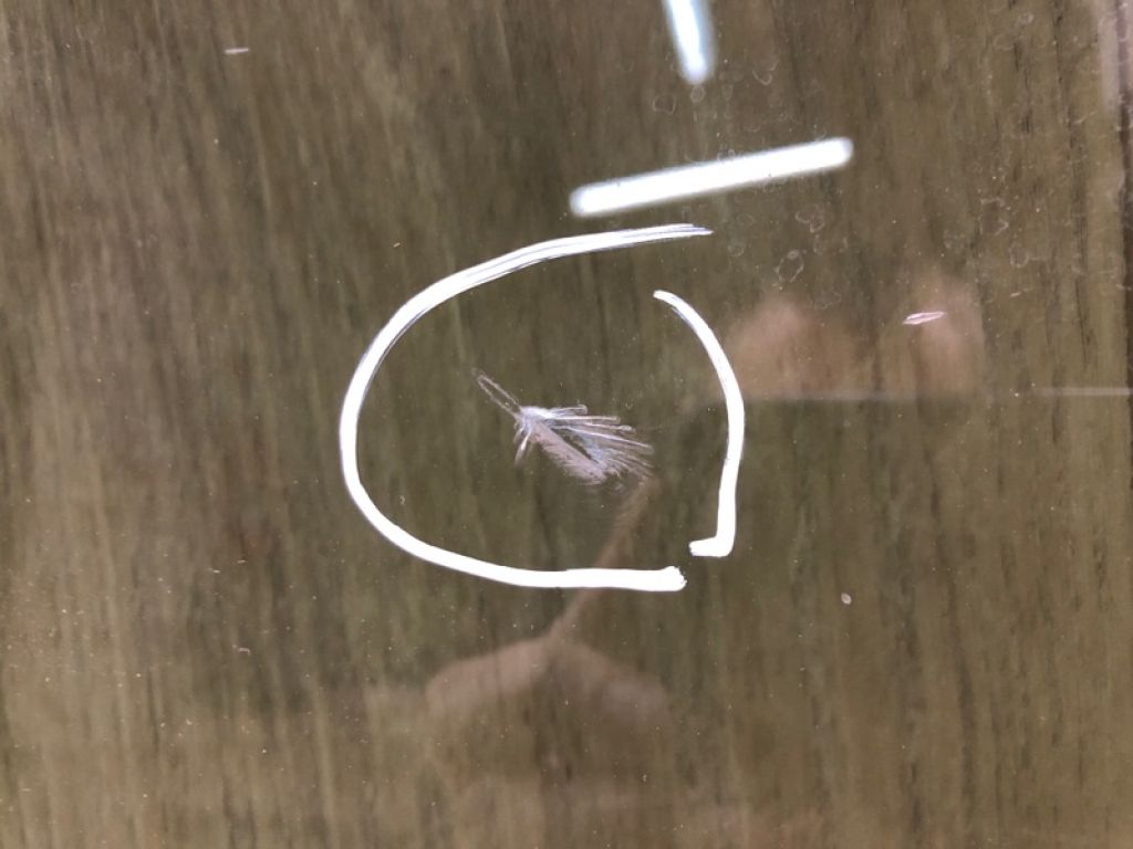 824213X021 | Скло дверей передн. прав. HYUNDAI ELANTRA MD 10-15 - Фото 6