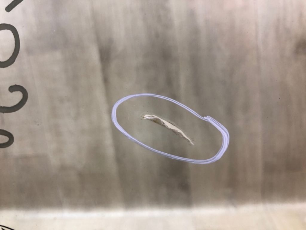 CP9Z-5825712-A | Скло дверей задн. прав. FORD FOCUS 10-18 - Фото 6