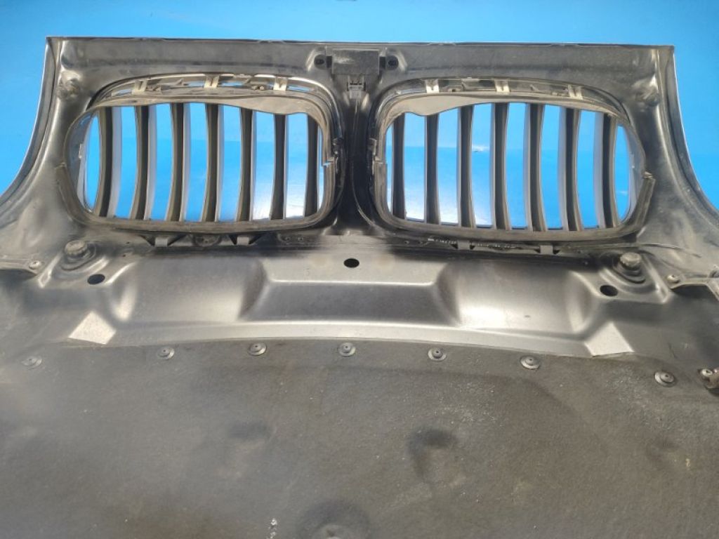 41 61 7 486 754 | Капот BMW X5 (E70) 07-13 - Фото 10