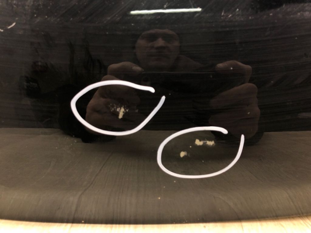 53301-05040 | Капот TOYOTA AVENSIS 08-18 - Фото 12