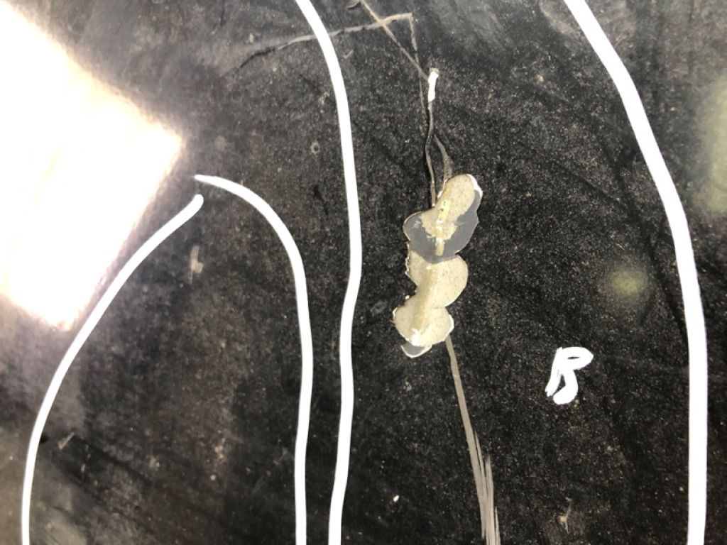 533010T020 | Капот TOYOTA VENZA 09-16 - Фото 14