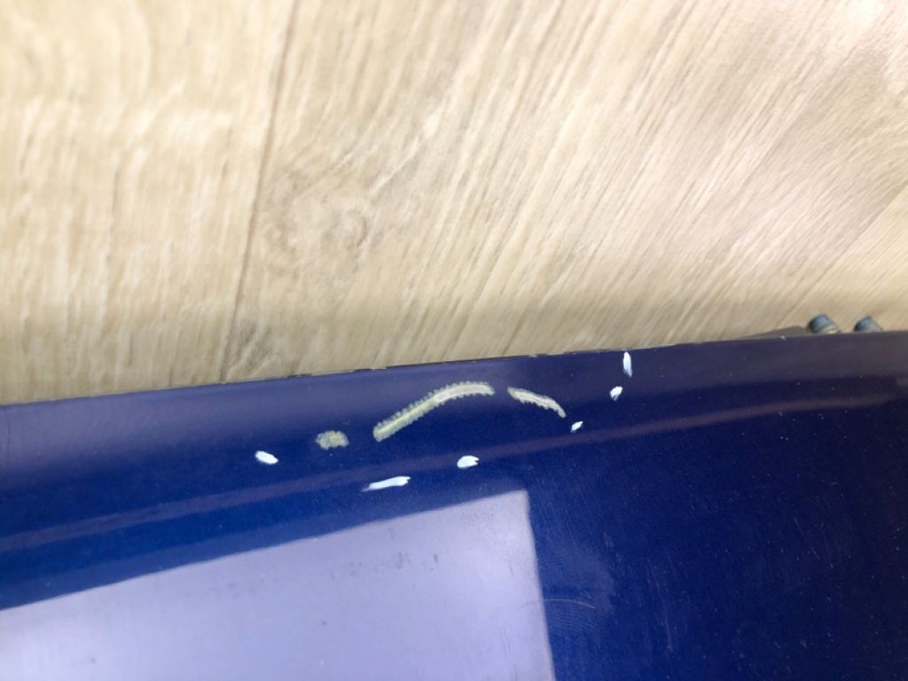 90100-5AA4B | Кришка багажника NISSAN MURANO Z52 14- - Фото 13