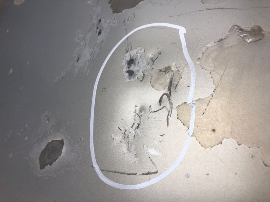 6440175120 | Кришка багажника LEXUS HS250H (ANF10) 09-12 - Фото 7