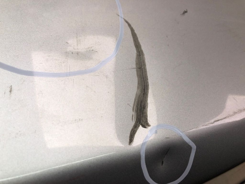 692003M100 | Кришка багажника HYUNDAI GENESIS SEDAN 08-13 - Фото 17