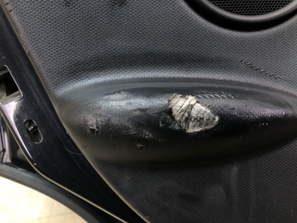 41009805929 | Двері задн. лів. MINI COUNTRYMAN R60 10-16 - Фото 19