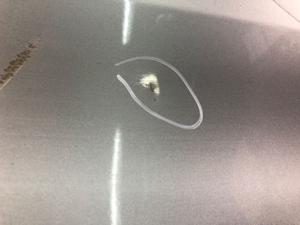 6700208061 | Двері передн. лів. TOYOTA SIENNA 11-16 - Фото 19