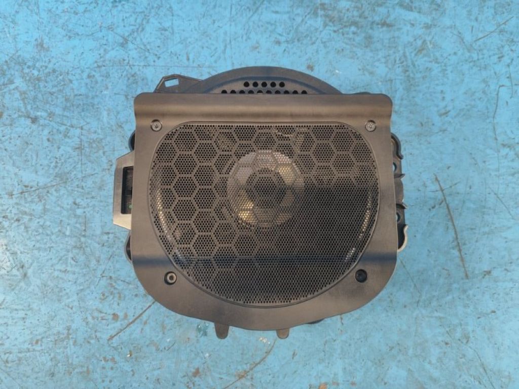 20954810 | Динамик BMW XM (G09) 23-