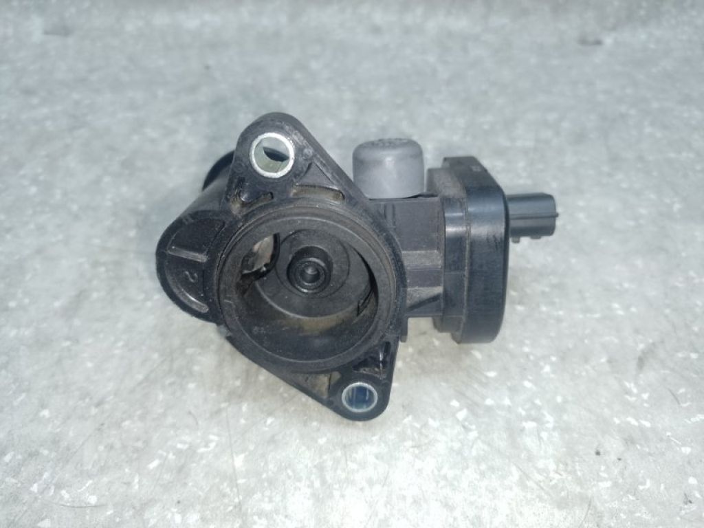 0120105160 | Привід заслінки впускного колектора NISSAN QASHQAI 07-14