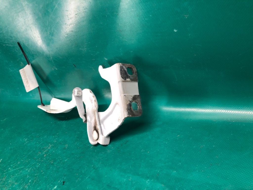 65401-1KA0A | Петля капоту лів. NISSAN JUKE 10-19 - Фото 3