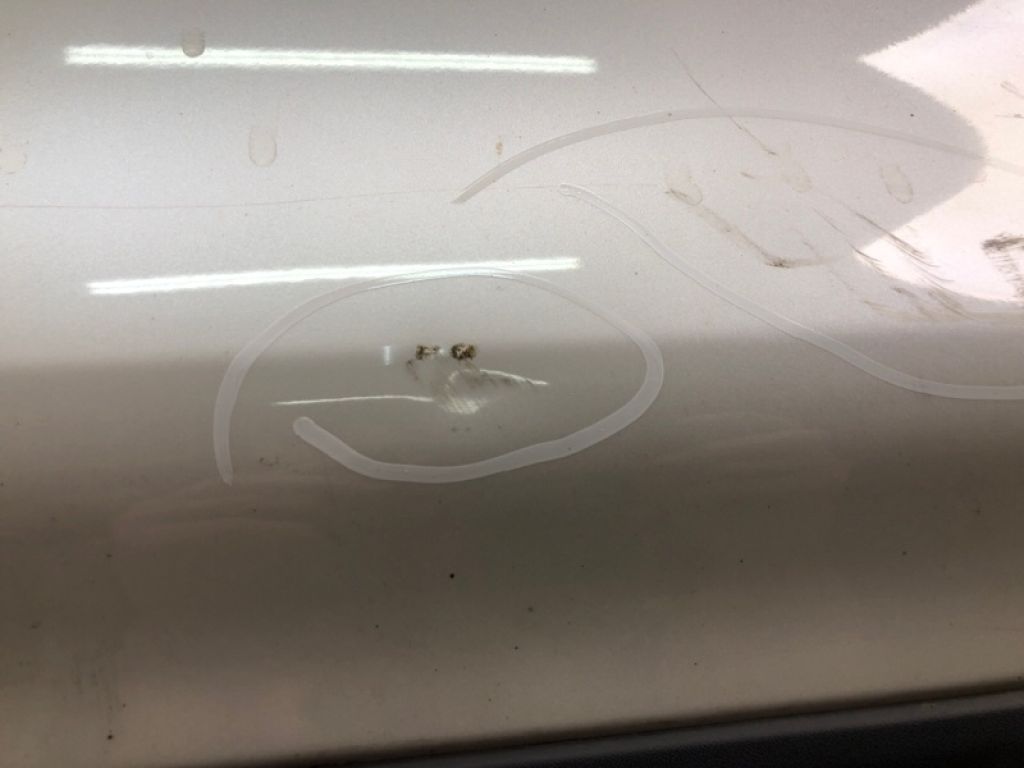 CJ5Z-7820124-A | Двері передн. прав. FORD ESCAPE 12-19 - Фото 15