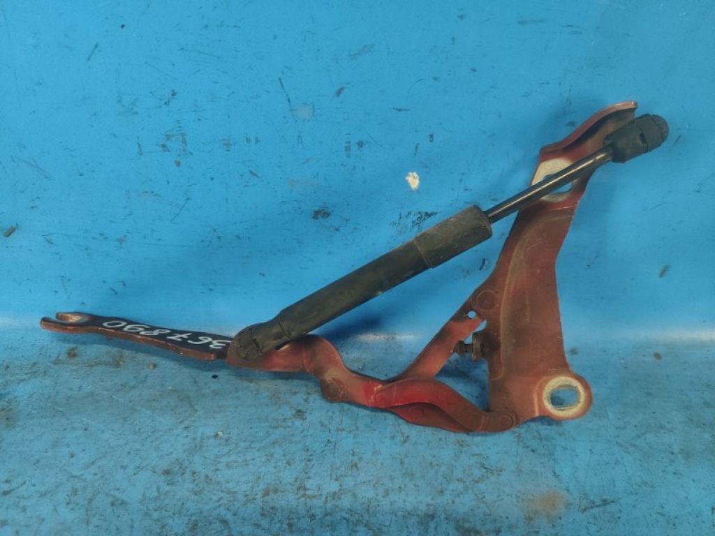 41007211639 | Петля капоту лів. MINI COOPER S R56 06-14 - Фото 2