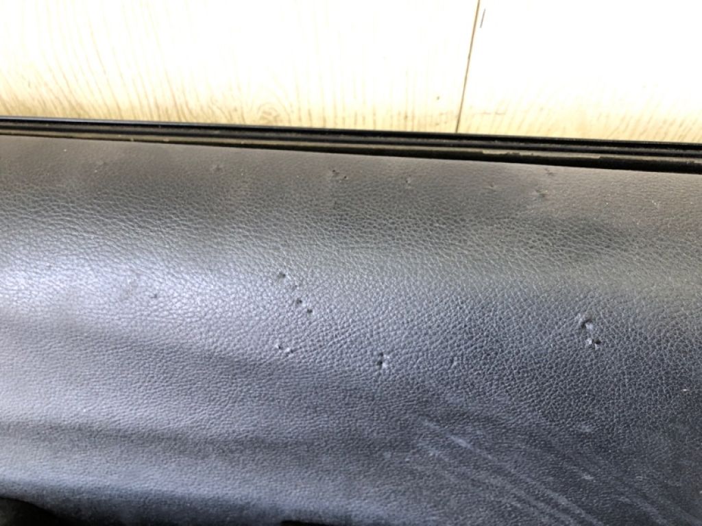 68186 766AJ | Двері передн. прав. CHRYSLER PACIFICA 16-20 - Фото 13