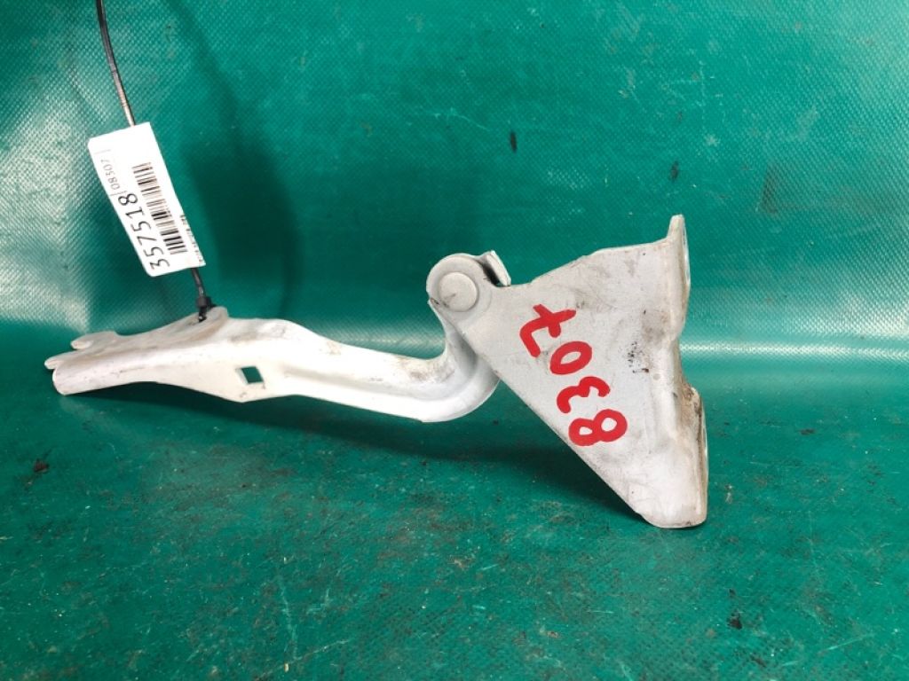 TD11-52-420 | Петля капоту лів. MAZDA CX-9 06-16