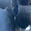 42110-08040 | Балка задней подвески TOYOTA SIENNA 11-16 - Превью 11