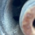 42110-08040 | Балка задней подвески TOYOTA SIENNA 11-16 - Превью 14