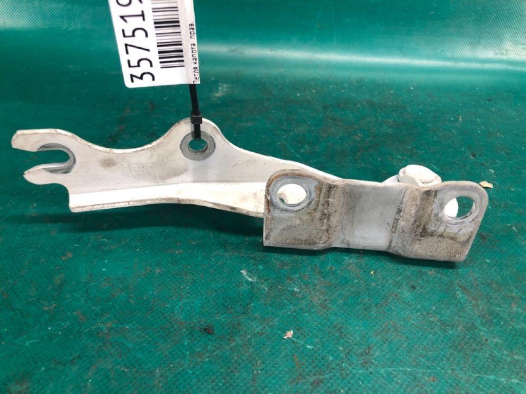 TD11-52-410 | Петля капоту прав. MAZDA CX-9 06-16