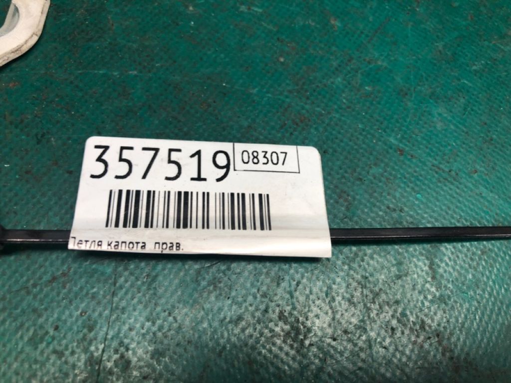 TD11-52-410 | Петля капоту прав. MAZDA CX-9 06-16 - Фото 2