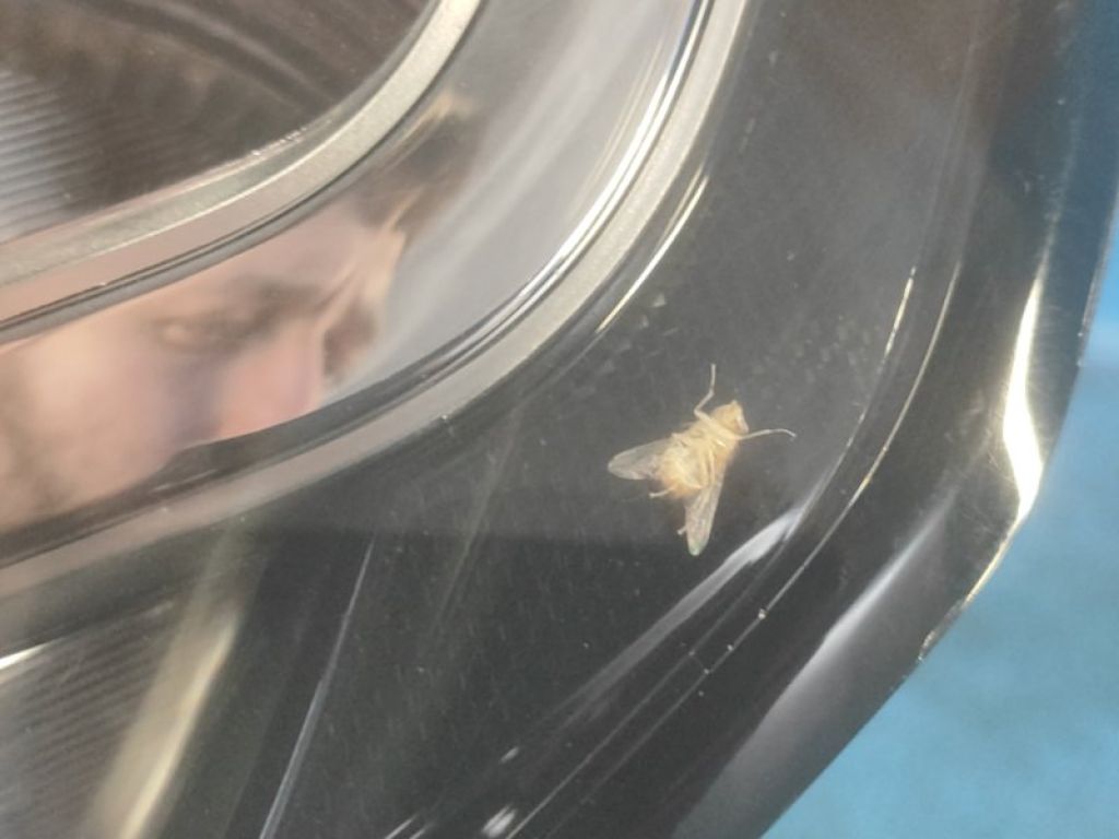 FK72-13404-AF | Ліхтар зовнішній прав. LAND ROVER DISCOVERY Sport 15-19 - Фото 5