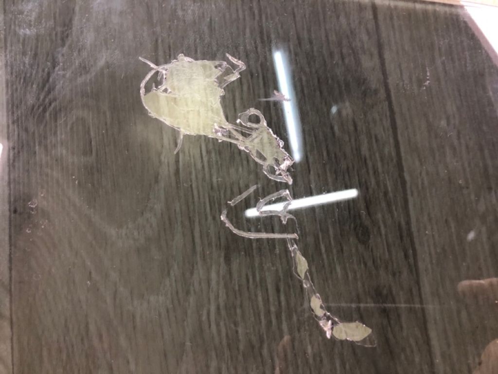 82411 3X020 | Скло дверей передн. лів. HYUNDAI ELANTRA MD 10-15 - Фото 5