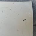 68500-SNK-G00ZZ | Крышка багажника HONDA CIVIC 4D 06-11 - Превью 8