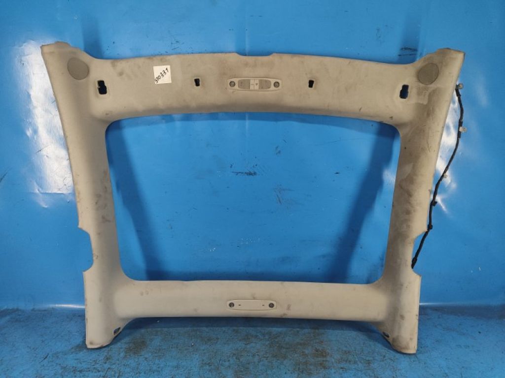 1101066-91-G | Обшивка потолка TESLA MODEL 3 17-