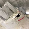 81150-06452 | Фара ліва TOYOTA CAMRY 40 06-11 - Прев'ю 10