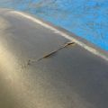 FK72-17F954-A | Накладка бампера задн. LAND ROVER DISCOVERY Sport 15-19 - Прев'ю 2