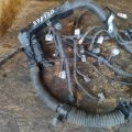 82111-47320 | Електропроводка TOYOTA PRIUS - 20 03-11 - Прев'ю 2