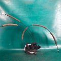 80500-5AA0A | Замок двері передній правий NISSAN MURANO Z52 14-