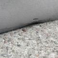 GS3L-72-020G | Дверь задняя правая MAZDA 6 GH 07-12 - Превью 10