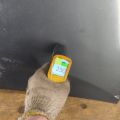 53301-47050 | Капот TOYOTA PRIUS - 30 09-17 - Прев'ю 9